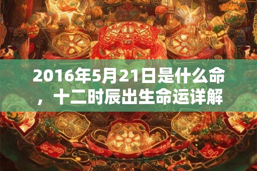 2016年5月21日是什么命，十二时辰出生命运详解