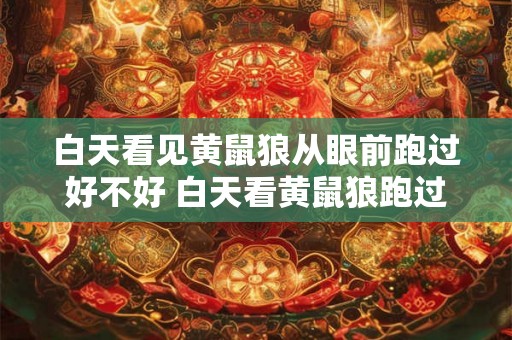 白天看见黄鼠狼从眼前跑过好不好 白天看黄鼠狼跑过了吗 白天看见黄鼠狼从眼前跑过好不好 白天看黄鼠狼跑过了吗