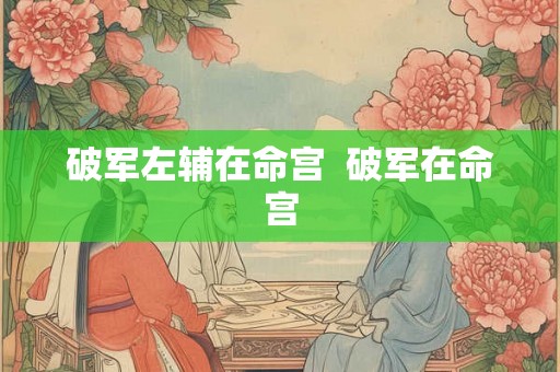 破军左辅在命宫  破军在命宫