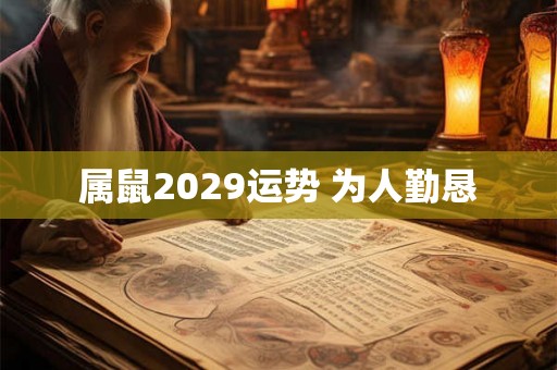 属鼠2029运势 为人勤恳
