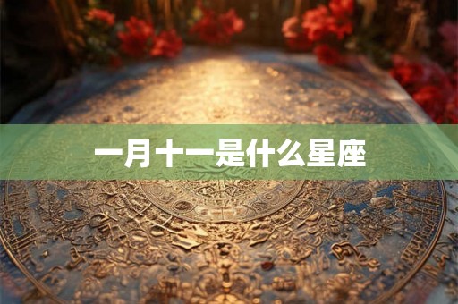 一月十一是什么星座