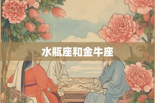 水瓶座和金牛座