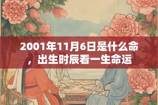 2001年11月6日是什么命,出生时辰看一生命运 2001年11月6日是什么命,出生时辰看一生命运