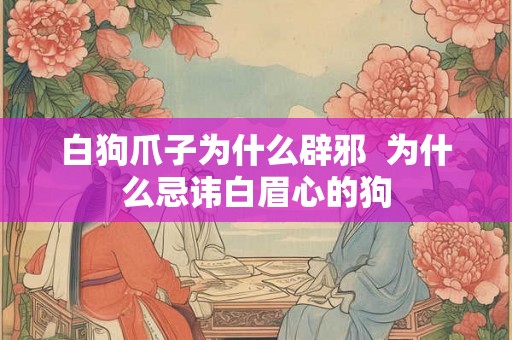 白狗爪子为什么辟邪  为什么忌讳白眉心的狗