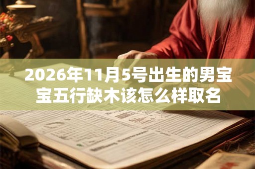2026年11月5号出生的男宝宝五行缺木该怎么样取名 2026年11月5号出生的男宝宝五行缺木该怎么样取名