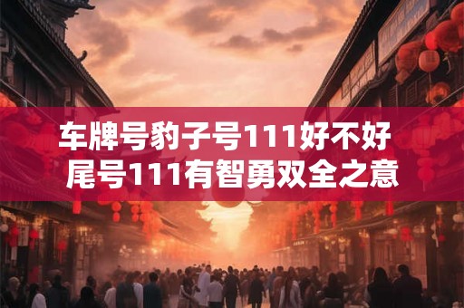 车牌号豹子号111好不好  尾号111有智勇双全之意