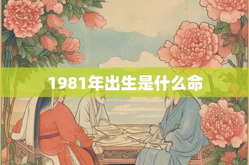 1981年出生是什么命