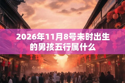 2026年11月8号未时出生的男孩五行属什么