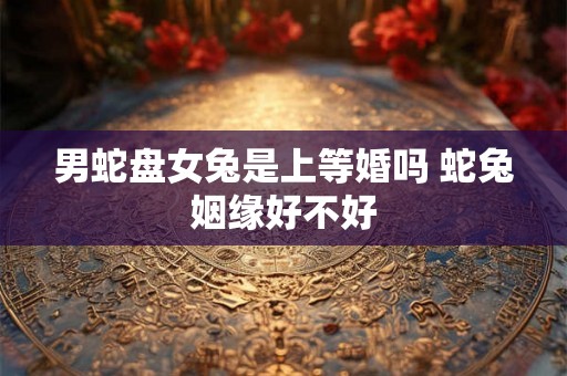 男蛇盘女兔是上等婚吗 蛇兔姻缘好不好