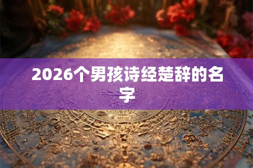 2026个男孩诗经楚辞的名字