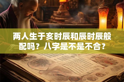 两人生于亥时辰和辰时辰般配吗？八字是不是不合？
