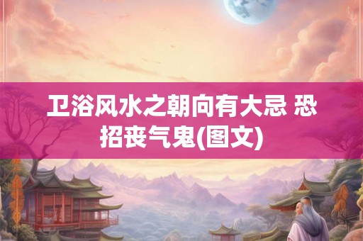 卫浴风水之朝向有大忌 恐招丧气鬼(图文) 卫浴风水之朝向有大忌 恐招丧气鬼(图文)