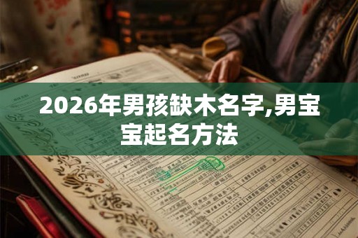 2026年男孩缺木名字,男宝宝起名方法