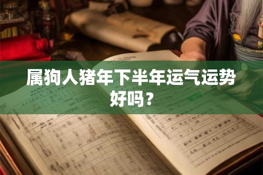 属狗人猪年下半年运气运势好吗？