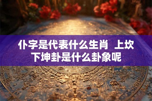 仆字是代表什么生肖  上坎下坤卦是什么卦象呢