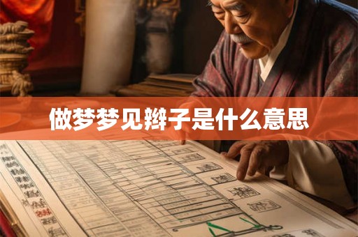 做梦梦见辫子是什么意思