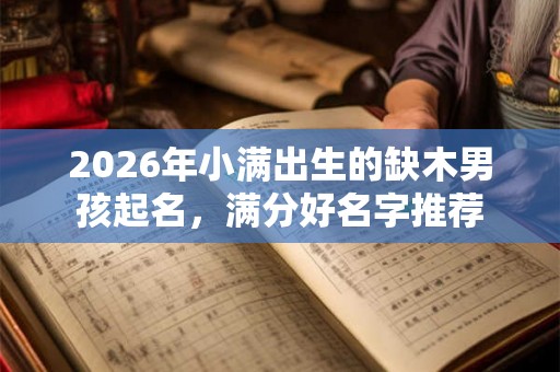 2026年小满出生的缺木男孩起名，满分好名字推荐