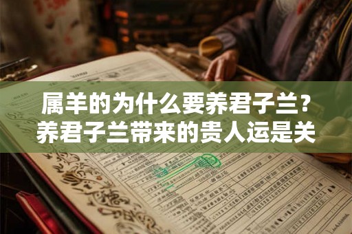 属羊的为什么要养君子兰？养君子兰带来的贵人运是关键！