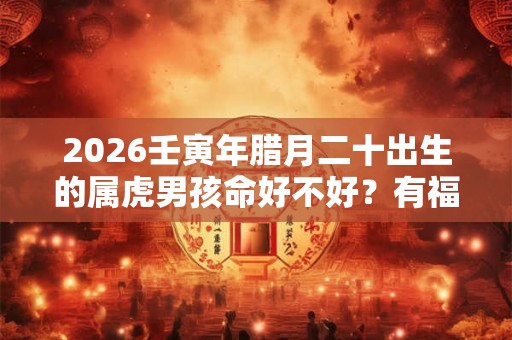 2026壬寅年腊月二十出生的属虎男孩命好不好？有福气吗
