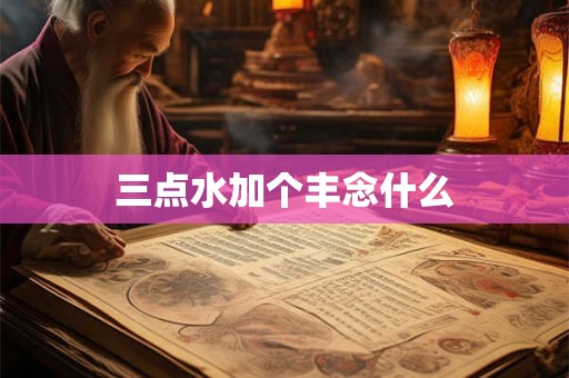 三点水加个丰念什么