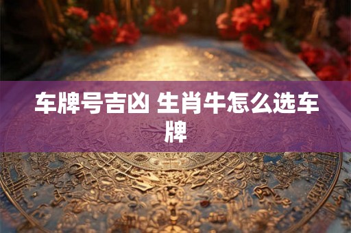 车牌号吉凶 生肖牛怎么选车牌
