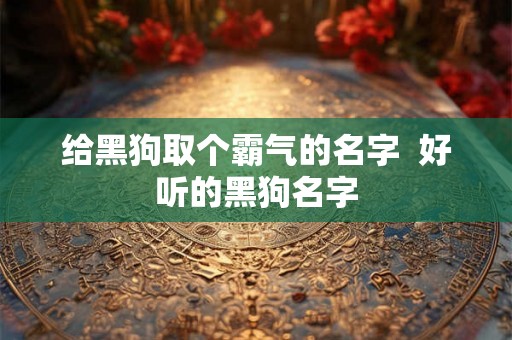 给黑狗取个霸气的名字  好听的黑狗名字