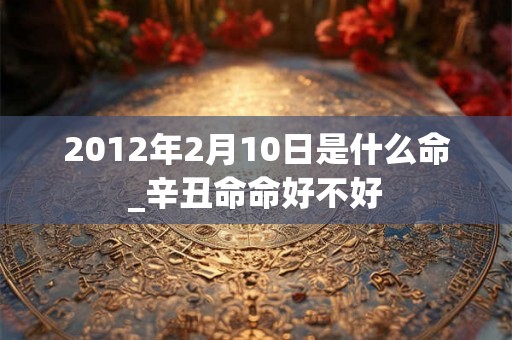 2012年2月10日是什么命_辛丑命命好不好