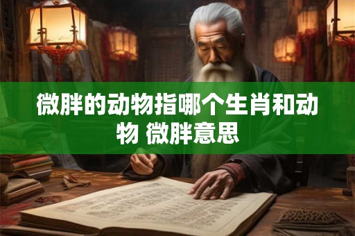 微胖的动物指哪个生肖和动物 微胖意思
