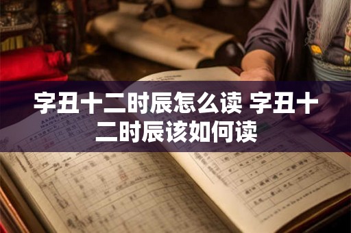 字丑十二时辰怎么读 字丑十二时辰该如何读