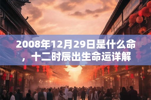 2008年12月29日是什么命，十二时辰出生命运详解