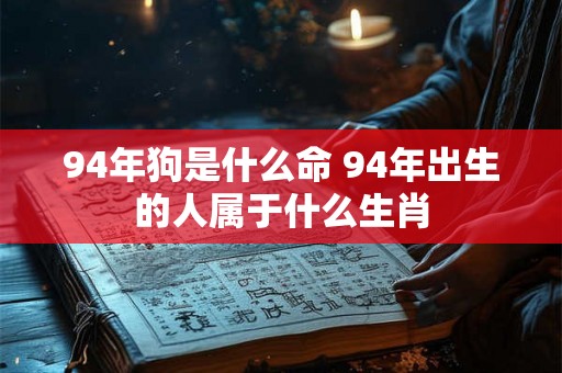 94年狗是什么命 94年出生的人属于什么生肖