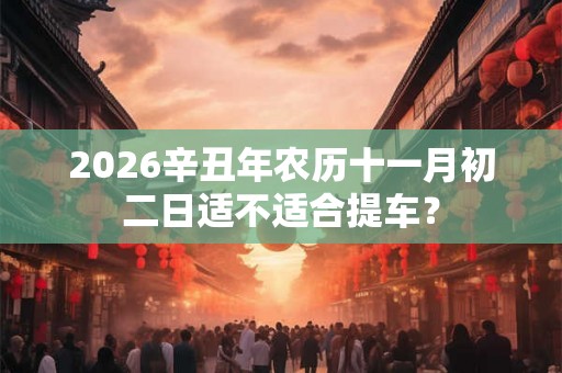 2026辛丑年农历十一月初二日适不适合提车？