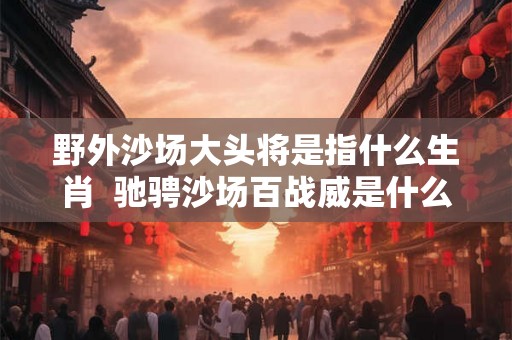 野外沙场大头将是指什么生肖  驰骋沙场百战威是什么生肖