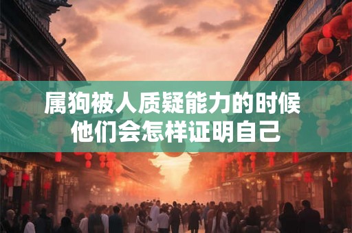 属狗被人质疑能力的时候 他们会怎样证明自己