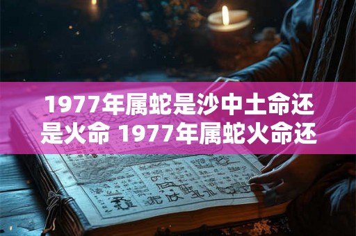 1977年属蛇是沙中土命还是火命 1977年属蛇火命还是土命
