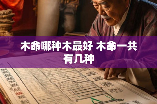 木命哪种木最好 木命一共有几种