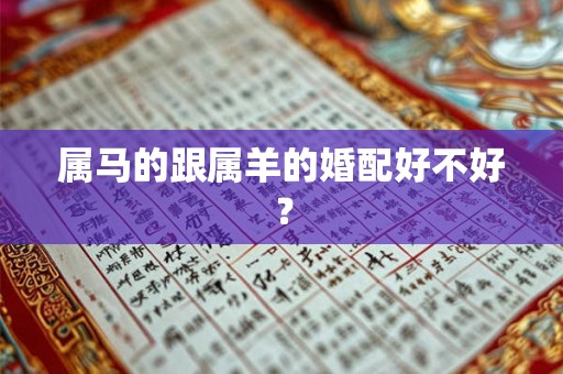 属马的跟属羊的婚配好不好？