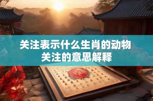 关注表示什么生肖的动物 关注的意思解释