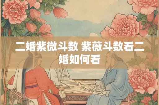 二婚紫微斗数 紫薇斗数看二婚如何看