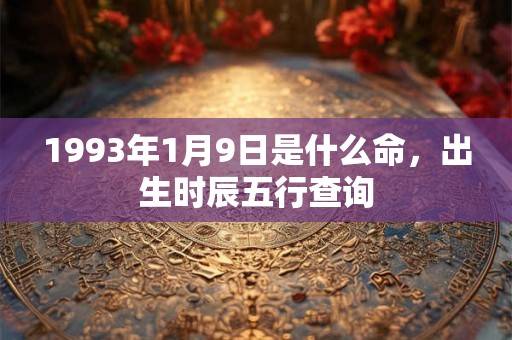 1993年1月9日是什么命，出生时辰五行查询
