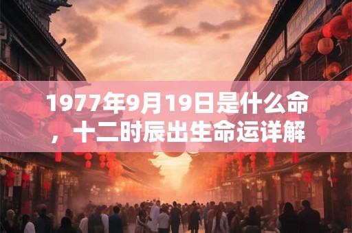 1977年9月19日是什么命，十二时辰出生命运详解
