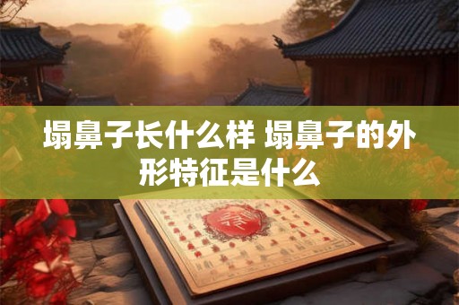 塌鼻子长什么样 塌鼻子的外形特征是什么 塌鼻子长什么样 塌鼻子的外形特征是什么
