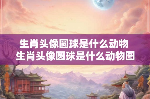 生肖头像圆球是什么动物 生肖头像圆球是什么动物图片