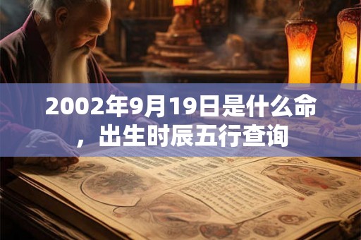 2002年9月19日是什么命，出生时辰五行查询