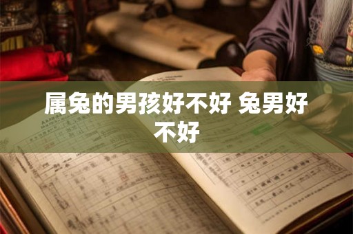 属兔的男孩好不好 兔男好不好