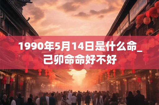 1990年5月14日是什么命_己卯命命好不好