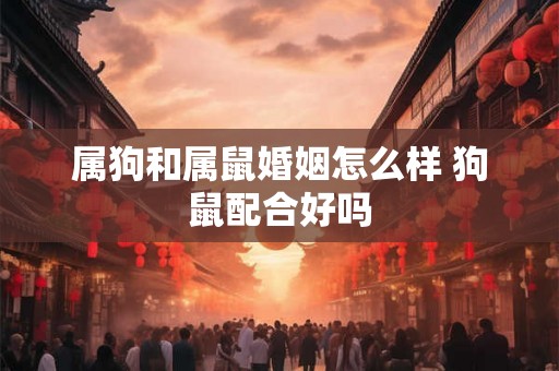属狗和属鼠婚姻怎么样 狗鼠配合好吗
