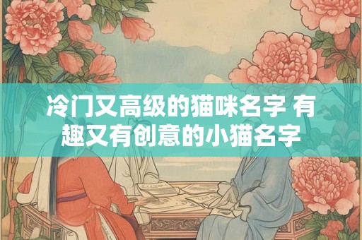 冷门又高级的猫咪名字 有趣又有创意的小猫名字