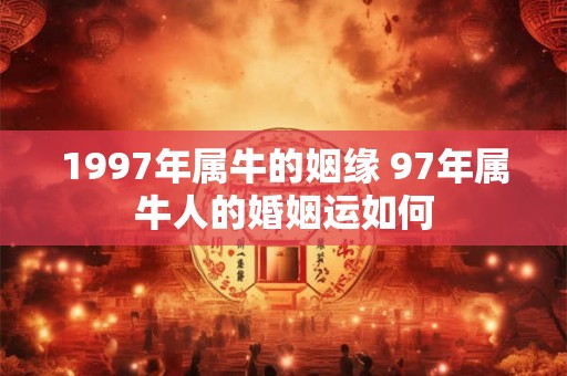 1997年属牛的姻缘 97年属牛人的婚姻运如何
