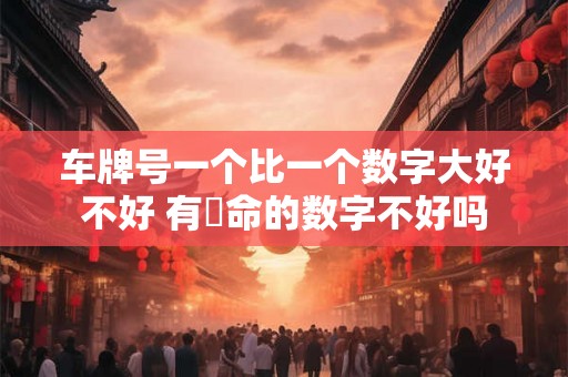 车牌号一个比一个数字大好不好 有絶命的数字不好吗 车牌号一个比一个数字大好不好 有絶命的数字不好吗